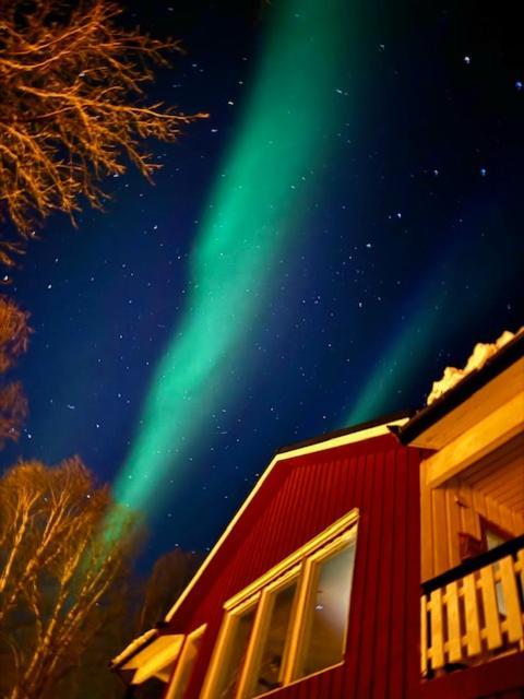 Bed And Breakfast Nordic Horn Brostadbotn Kültér fotó